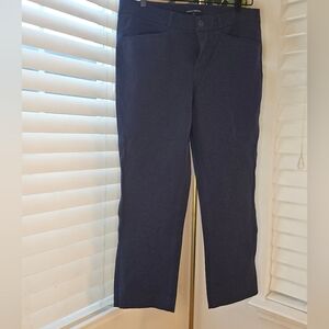 Banana Republic Navy Women's Pants